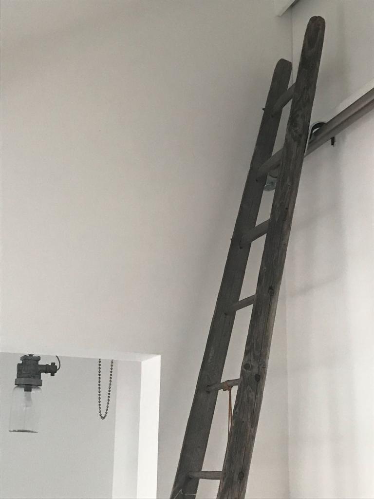 WhatsApp Image 2023-08-03 at 12.09.07 (14)