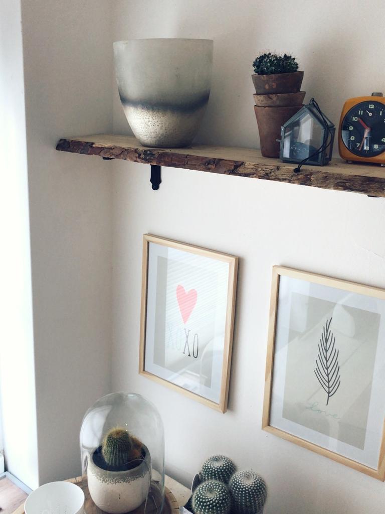 WhatsApp Image 2023-08-03 at 12.09.07